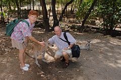 0084 Cairns Tropical Zoo